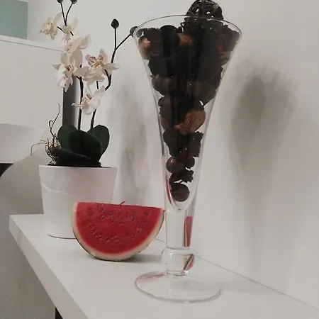 Apartmán Sleep And Go Pedja Bělehrad