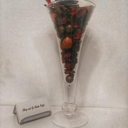 Sleep And Go Pedja בלגרד